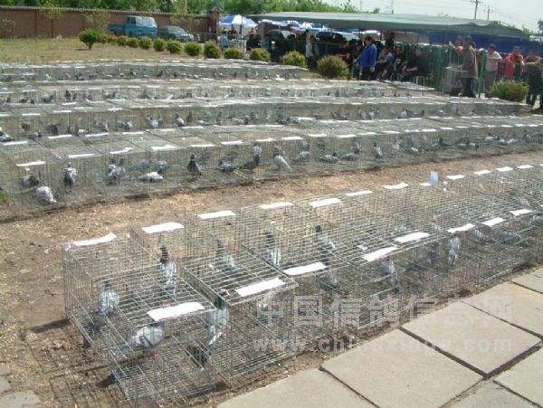 ������¹������������ͼ¼