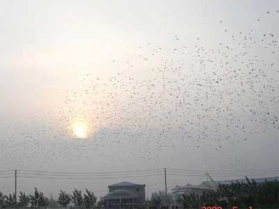 �Ϻ���09��һ����رȻ�ȫ�̱�����ͼ��