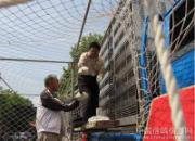 ���������30��Ԫ�رȾ���