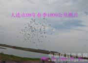 �����д���ǧ�����绯վ��������