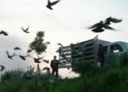 ����������Э����������˾��ͼƬ