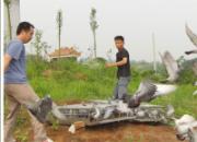 ��ͷ���ʸ�Э����ʹ����ǧ������