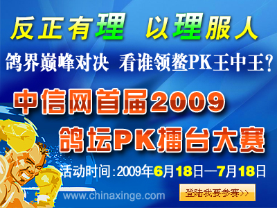 鸽界巅峰对决：中信网2009首届鸽坛PK擂台大赛公告