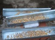 ����ڳ�֮����ԴȪ(ͼ)