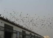 ������������̽������ 