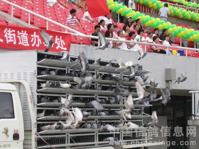 ������̨��ȫ������6��27�տ�Ļ