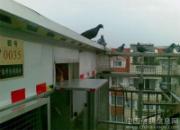 ̨�缾�ڼӹ̸���(ͼ)