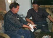 ��Ѩ�ø����Զ�չ�ᣡ(ͼ)