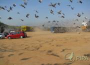 �������ǹ�����7��3����ʽ����