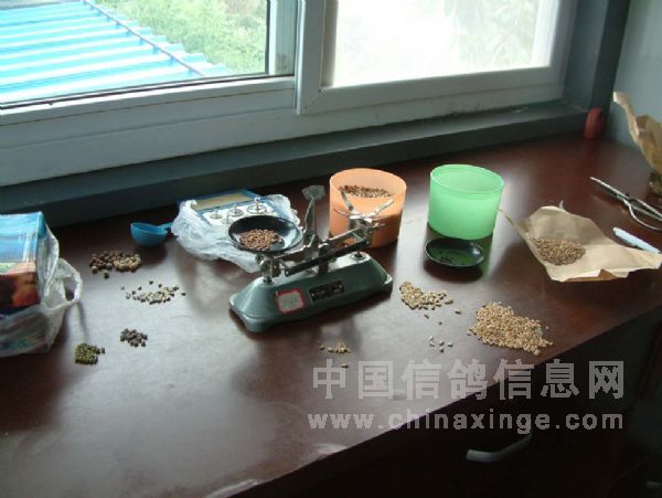 �������ϸߵĺ��貮������