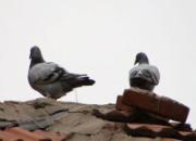 Ϧ������Ϸ�İ���(ͼ)