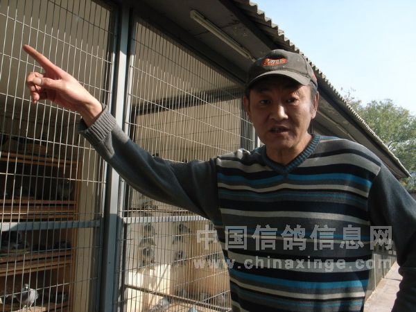 ��ţ�ĸ��ᡪ���������������(ͼ)