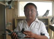 ���¶��Ÿ�������(��ͼ)