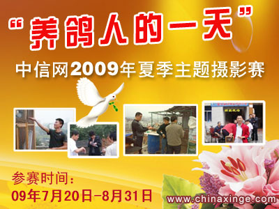 中信网2009“养鸽人的一天”夏季摄影赛7月20日开赛！