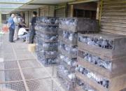 ���ݺ�����2009������ͼ