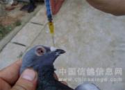�Ÿ����糣��ע�䷽��(ͼ)