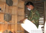 ���룬��Ҫ��ҵ��(ͼ)