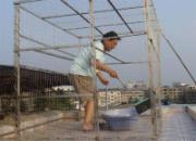 �۲������ŵĳ���(ͼ)