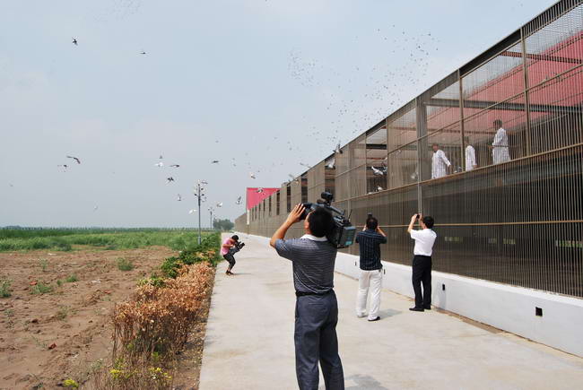 ����о�����ί����ʶӿ���������������빫��