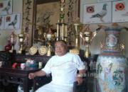 ���ǡ���ҡ����һ�(ͼ¼)