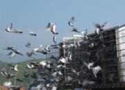 �����ֳ����빫��5����ѵ��ͼ