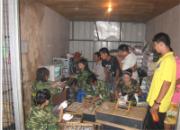 Ӱ�ӹ���7��31������ͼƬ����