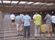 ������Բ˳����������ͼƬ����