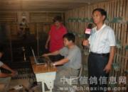 �����������������ͼƬ����