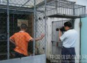 ����߲ɷá��۳��Ÿ��ԡ�