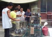 ����ķ�������(ͼ)