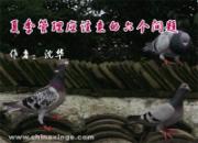 �Ÿ��ļ���������Ӧע�����������
