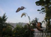 Ů������������(ͼ)