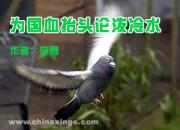 Ϊ��Ѫ̧ͷ������ˮ
