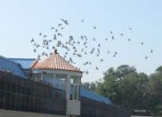 �������͹����������ﱨ��