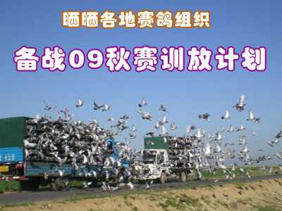 ɹɹ����������֯��ս09����ѵ�żƻ��������У�