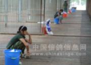 �������ǿ��չ�����ι������Ӱ