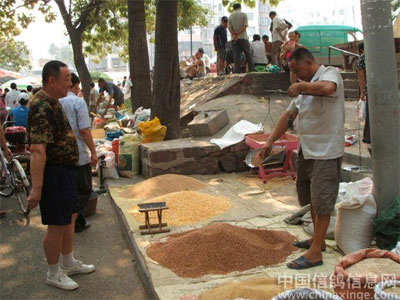 ֣�ݸ�����������¼۸�(ͼ)