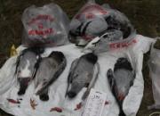 �п��Ը밸�ķ����ֳ�