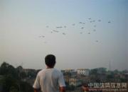 �Ϻ������մ��Σ�