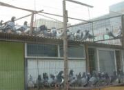 ���ղ��䡱��������������