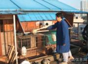 ��ʱ����������˼����(ͼ)