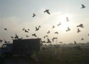 ��ͷ������������ѵ��ͼ