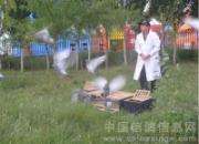 ����С��(ͼ��)