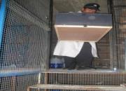 ����ǿ��κ��ΰ(ͼ)