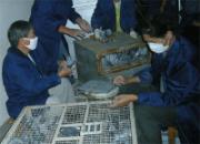 ���ϸ�ԭ�������ĵ�ʮ�߽����ͼ