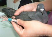 ���������λ����ｻ�׸���Ӱ