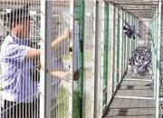 ����������������ȫ�����(ͼ)