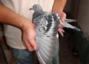 �������˻�ھ��뼰������д(ͼ)