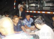 �����ֳǹ���Ԥ�����뱨��(ͼ)