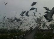 ʯ��ׯ޻�Ǹ�Э160�������ͼ